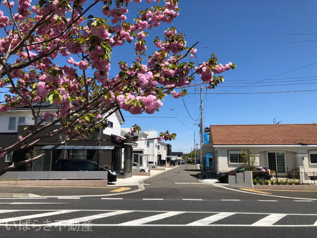 プレストンガーデン岩間駅東_画像5