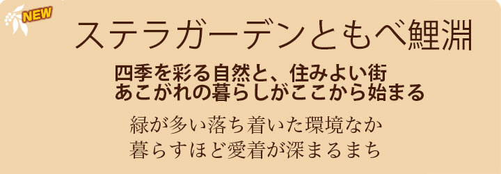 ステラガーデンともべ鯉淵