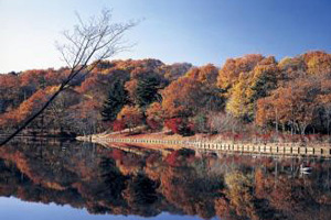 北山公園
